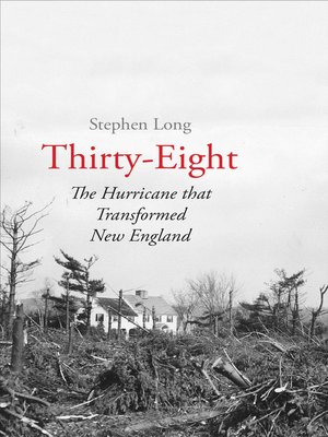 cover image of Thirty-Eight